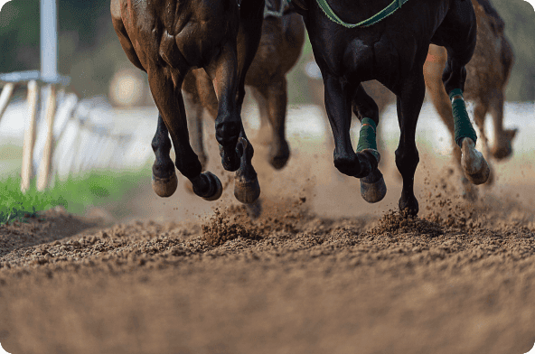 HorseBetting_img_Desktop.png