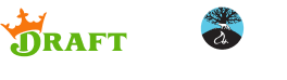 DK_Foxwoods_Lockup_NoDesignation.png