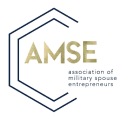 AMSE.png