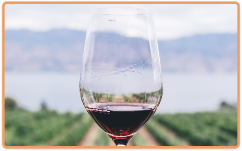 Napa_info_img.png