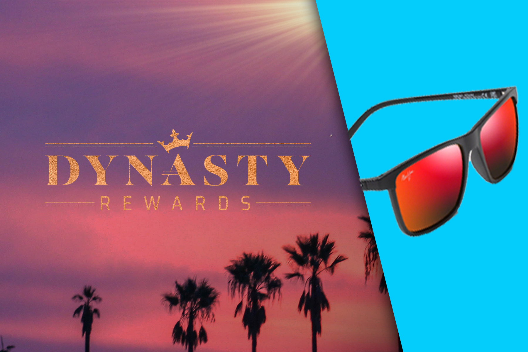 PA_NONE_DynastyOnyx&DiamondSwag_CRMPromos_Static_1800x1200_DKN (1).png