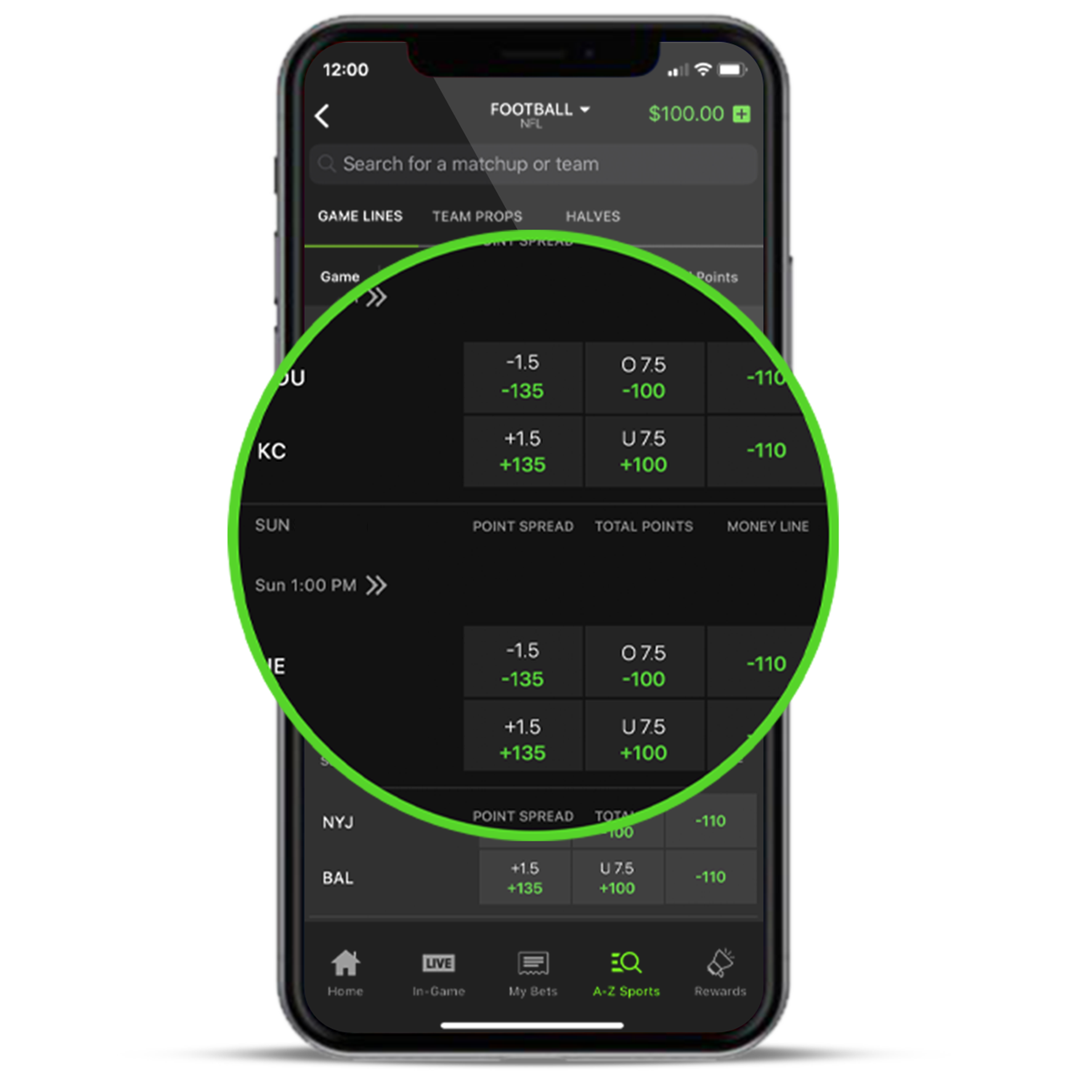 Vision_Accessability_phone.png
