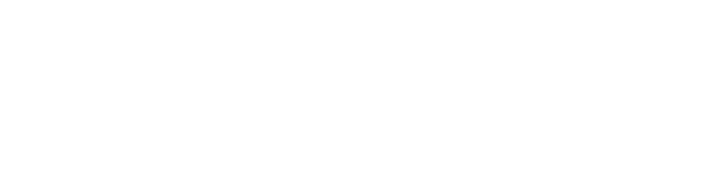 2026_RG_SP_BoxLogo_Linear_Compact_Light_RGB (1).png