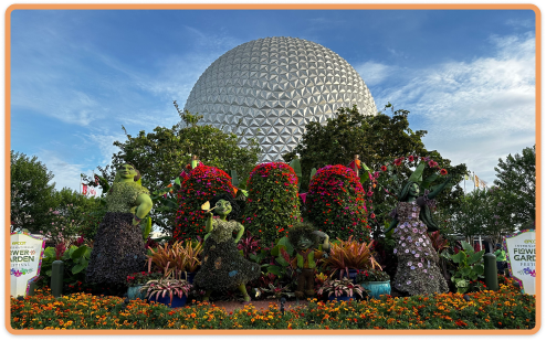 Disney_info_img.png